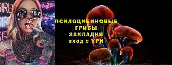 прущий лед Верея