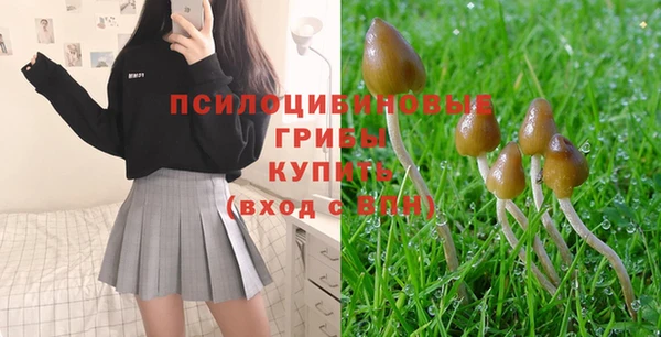 СК Верхний Тагил