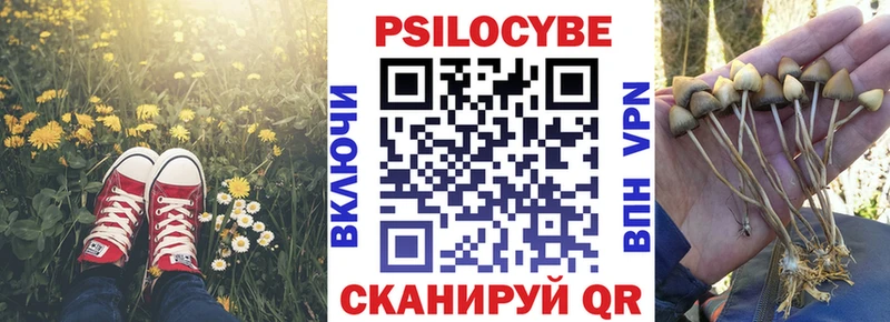 Купить где  Выкса  Псилоцибиновые грибы MAGIC MUSHROOMS 